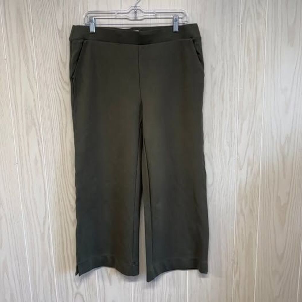 Petite Assembly Wide Leg Pull On Pants Green Petite Large